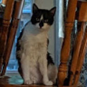 Meet your Posher, Christine